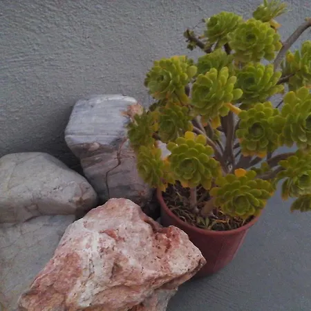 穆拉诺别墅