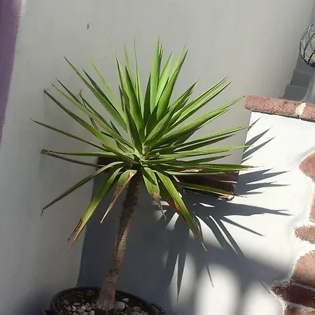 무라노 게스트하우스 3*