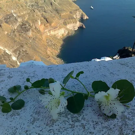 בית הארחה Murano